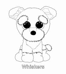 Coloring Rocks Puppy Coloring Pages Beanie Boo Birthdays Animal Coloring Pages