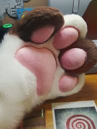 Twitter Fursuit Tutorial Furry Art Karneval Maske
