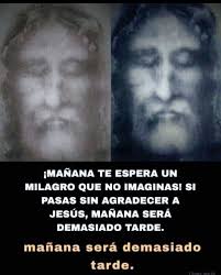 que hermosa se ve la rosa naranja con rojo simboliza el amor puro que  representa una rosa roja y la gratitud por la amistad las rosas naranja son  la manera de representar