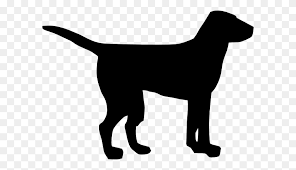 All dog clip art are png format and transparent background. Black Dog Clip Art Dog Clipart Stunning Free Transparent Png Clipart Images Free Download