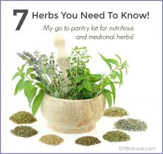 list of herbs 7 high nutrition and medicinal herbs you need