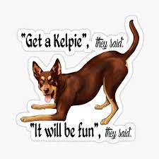 Coffee machine brands australian kelpie puppies houston. Red Cloud Gifts Merchandise Redbubble
