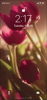 Download, share or upload your own one! Easiest Way To Set New Wallpaper On An Iphone Ask Dave Taylor