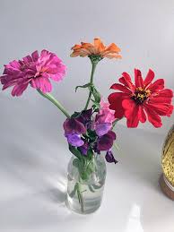 Taking proper care of your flowers will help them last longer, says kate law, product designer for proflowers. How To Make Your Cut Flowers Last Longer Julia Dimakos