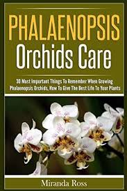 Free Ebook Phalaenopsis Orchids Care 30 Most Important Things To Remember When Growing Phalaenop Phalaenopsis Orchid Care Orchid Care Phalaenopsis Orchid