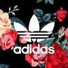 Adidas background hd wallpapers 1920×1080. Https Encrypted Tbn0 Gstatic Com Images Q Tbn And9gcsrwjkuavajd7dnew2ihzzw Ejf01jpdhhuojua5z4l7l03zkqb Usqp Cau
