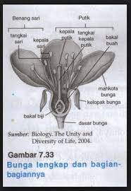 Namun, apakah kamu sudah tahu pengertian riba dan bunga bank itu sendiri? Definisi Pengertian Bunga Pada Tumbuhan Future Technology