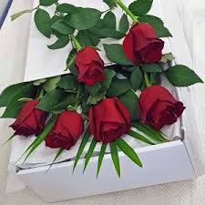 Halloween flower arrangements for delivery! Flower Delivery Melbourne Gorgeous Flowers By Bloomin Crazy