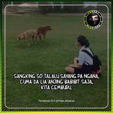 Anak anjing pengen viral sikontol!!! Quotes Manado