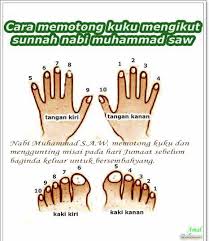 Check spelling or type a new query. Amalan Yang Sunat Dilakukan Pada Hari Jumaat Kisah Dunia