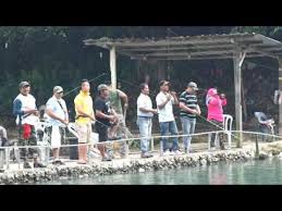 We did not find results for: Private Event At Uni Fishing Pond Seri Kembangan Aka Kolam Bawah Taman U Youtube