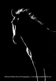Black And White Wild Horse Print Equine Art Equine Photography Horse Art Horse Photography Obx Wild Horses Wild Hor Schwarz Weiss Fotos Schwarz Weiss Fotos