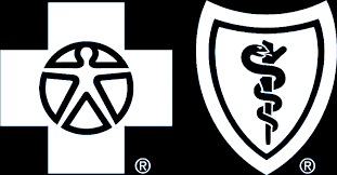 However, with a range of plans available, it's not always obvious which choice. Download Hd Blue Cross Blue Shield Geo Blue Travel Insurance Transparent Png Image Nicepng Com