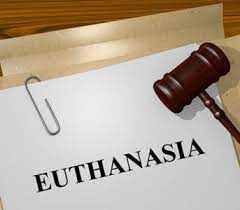 La eutanasia es un concepto que alborota el avispero de muchas pasiones humanas al despertar todo tipo de debates. Valoracion Medica Juridica Y Bioetica De La Eutanasia Observatorio De Bioetica Ucv