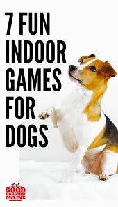 Seven Fun Games To Play With Your Dog Indoors Good Doggies Online Dog Training Best Dog Toys Dog Games