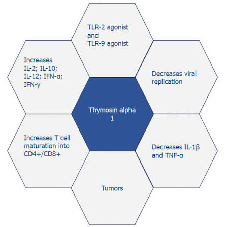 Clinical applications of thymosin alpha 1. | Download Scientific Diagram
