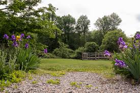 Wedding venues in ct for small weddings. Ct Elopement Micro Wedding Venue Green Haven Of Pomfret Ct Ct Wedding Photography Trailing Twine Photography Llc