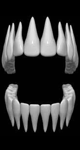 3d Model Teeth Maya Modeling Zbrush 3d Model