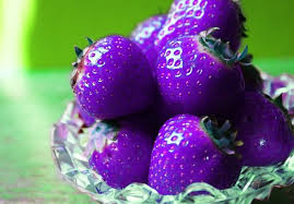 Although the exact history behind this strange fruit is unclear, historians believe it was brought to china from northeastern india as a result of traveling buddhist monks. Top 10 Strange Rare And Unusual Strawberries