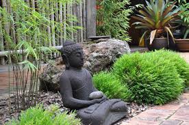 Image result for Pogonatherum paniceum