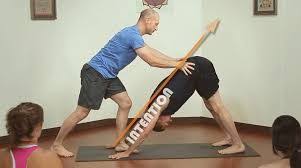 Image Result For Yoga Adjustments Downward Dog Yoga Yoga Teachers Yoga Postures