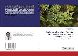 Image result for Juniperus procera