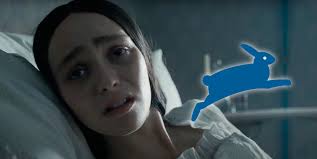 Entrevista: Sara Hoch, directora general del GIFF