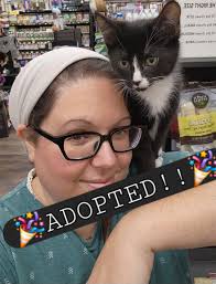 Adopt a friendly cat in Riverview