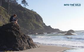 Uhd ultra hd wallpaper for desktop, iphone, pc, laptop, computer, android phone, smartphone wallpapers in ultra hd 4k 3840x2160, 8k 7680x4320 and 1920x1080 high definition resolutions. 8 Into The Wild Hd Wallpapers Background Images Wallpaper Abyss