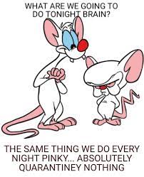 The Pinky And The Brain Brain Brain Memes