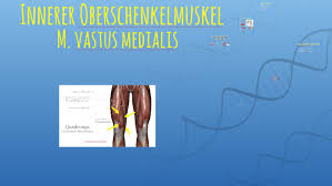 Auch der halbsehnenmuskel entspringt am sitzbeinhöcker. Innerer Oberschenkelmuskel By Juergen Dieter On Prezi Next