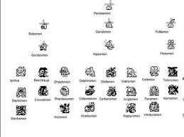 androgochi evolution chart