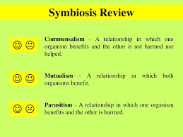 Lets Explore Some Symbiotic Relationships Ppt Video