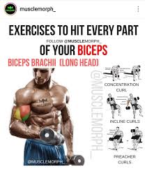 Pin On Arms Upper Body Workout
