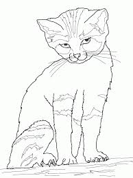 Explore 623989 free printable coloring pages for you can use our amazing online tool to color and edit the following realistic kitten coloring pages. Cat And Kitten Coloring Page Coloring Home