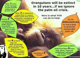 Pin By Lovepeaceharmony On Ecology Nature Conservation Preservation Palm Oil Free Products Palm Oil Orangutan
