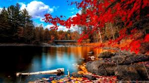 List Of Free Hd Nature Full Screen Wallpapers Download Itl Cat Step into peaceful woods, towering mountains, and deserts, all from your desktop! list of free hd nature full screen