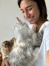 Profile for ONLY MAINE