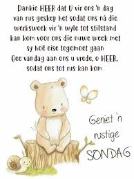 Pin By Martin Thompson On Afrikaans Tot Teddy Teddy Bear