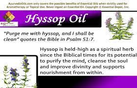 Check spelling or type a new query. Health Benefits Of Hyssop Essential Oil Essential Oil