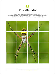 Ein Kostenloses Arbeitsblatt Zum Thema Spinnen Auf Dem Die Schuler Ein Fotopuzzle Finden Bei Dem Die Kinder 16 Kle Spinne Arbeitsblatter Spiele Selber Machen