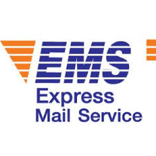 EMS Logo