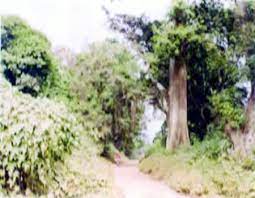 Get variety of products in reasonable prices from okebukky world igboho oyo state all around the globe. Igboho Burial Site A Tourism Delight Crying For Patronage Tribune Online