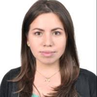 50+ "Villarroel Parra" profiles