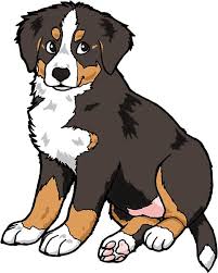 Bernese Dog Drawing Dog Art Cartoon Dog