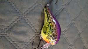 Rapala Dt Fat 1 Dtfat Cps Hard To Find