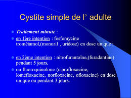 Le traitement contre les cystite repose sur des antibiotiques. Les Infections Urinaires Ppt Video Online Telecharger