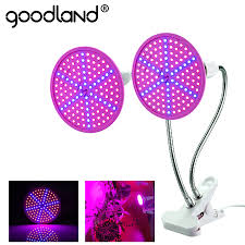 Check spelling or type a new query. 36w Blue Led Grow Light Bulb E26 E27 Par38 Plant Lamp For Greenhouse Indoor Plant Flower Veg Seeding Hydroponics Organic Indoor Gardening Hydroponics Patio Lawn Garden Fcteutonia05 De