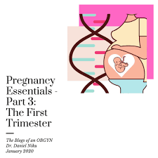Image result for First Trimester Education
