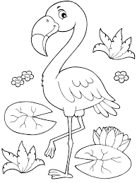 Check spelling or type a new query. Colouring Page Flamingo Coloringpage Ca